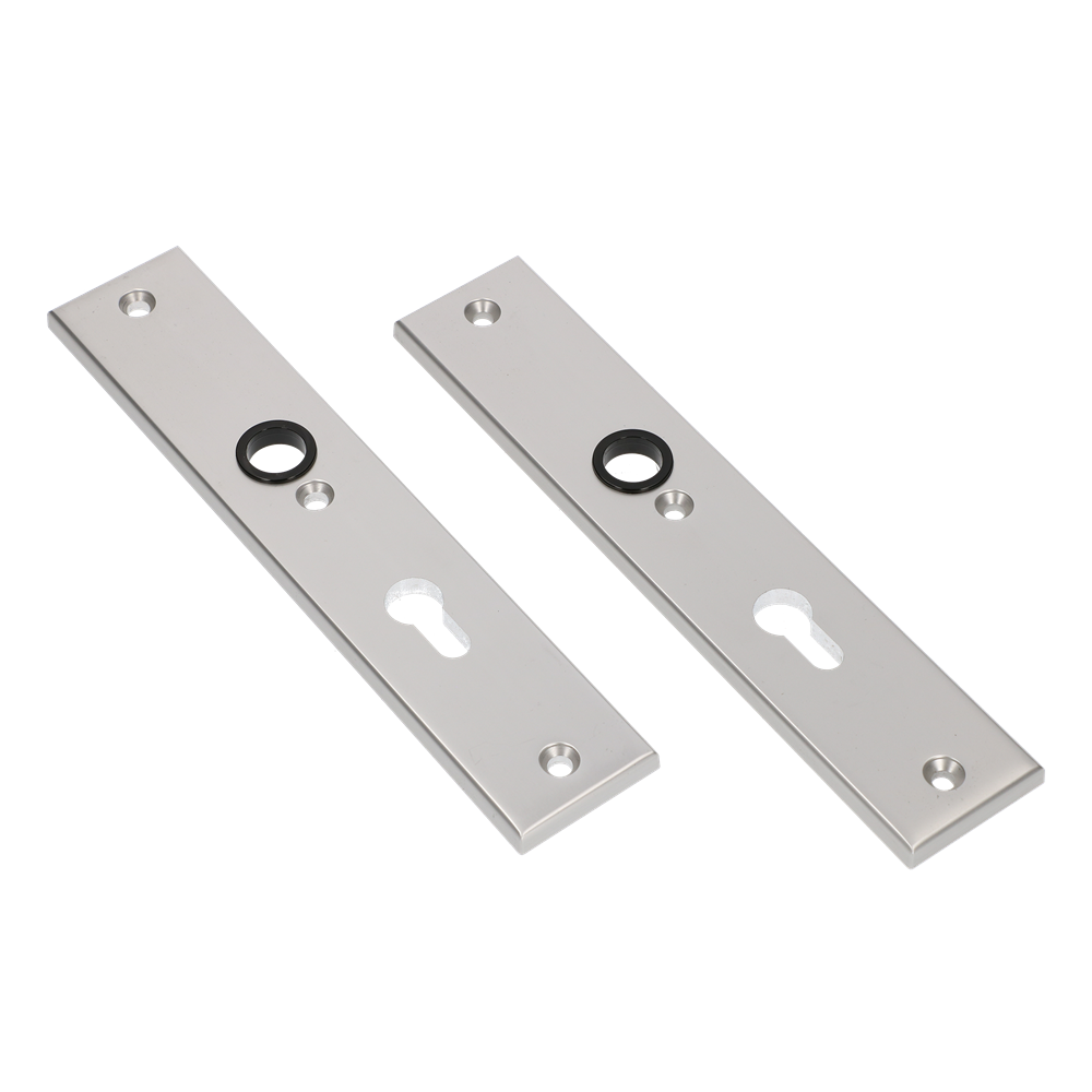 AMI Langschild 251/50/8 Profielcilinder 110 F-1 R6,5/R7,3 - 215121 afbeelding 1